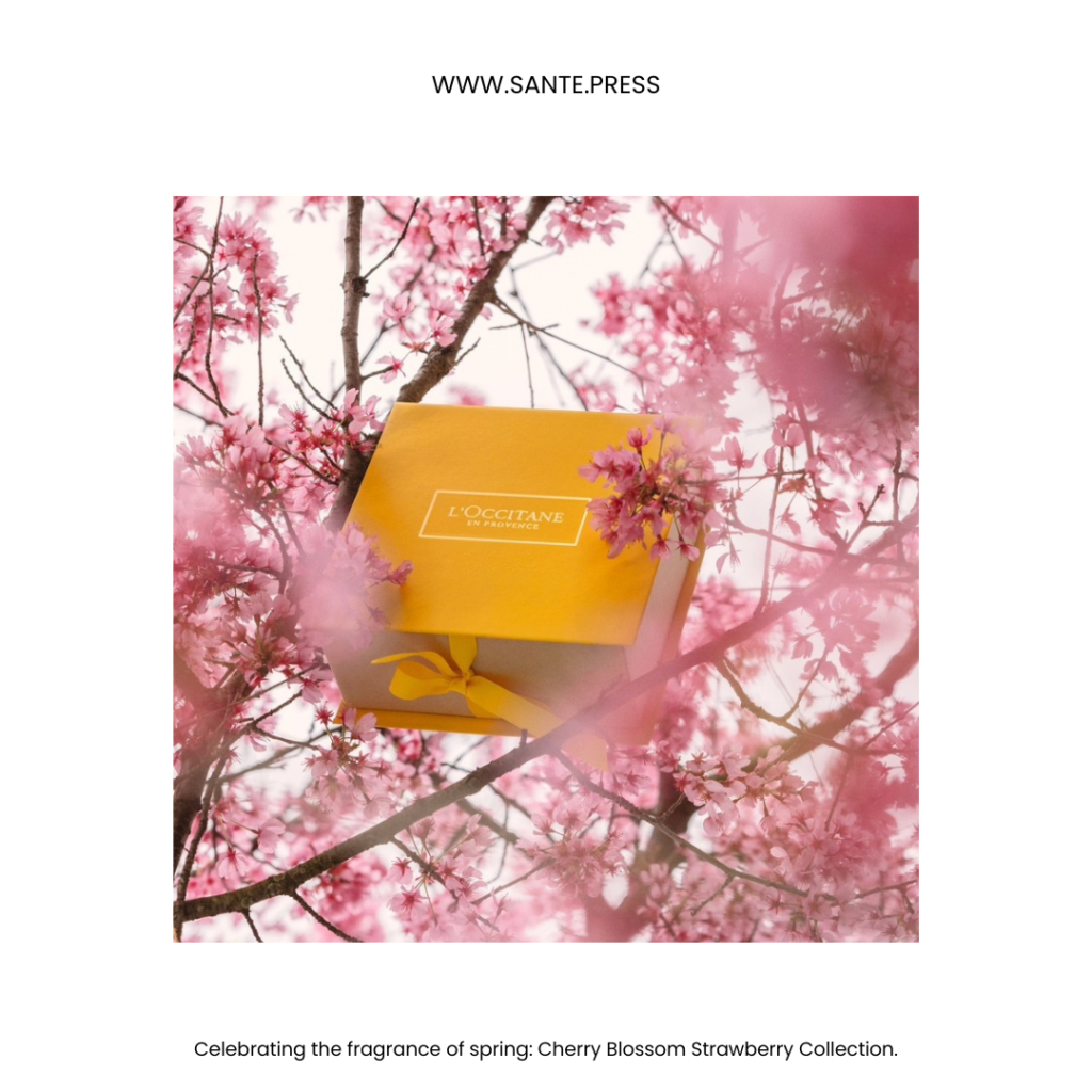 Cherry Blossom Strawberry Collection - Colección Cherry Blossom Strawberry