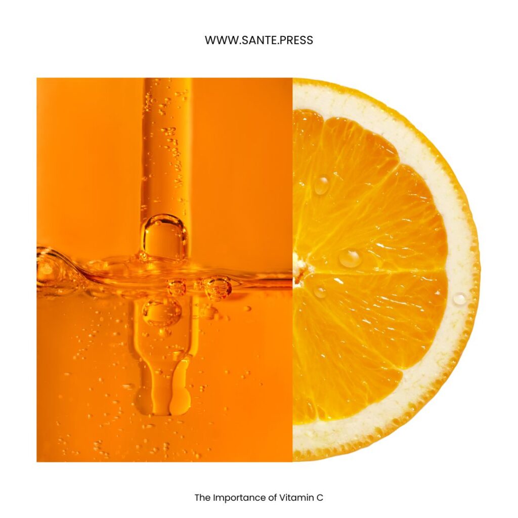 Collagen Production - producción de colágeno