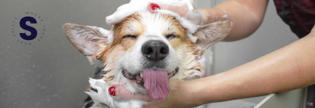 Humano bañando cachorro.