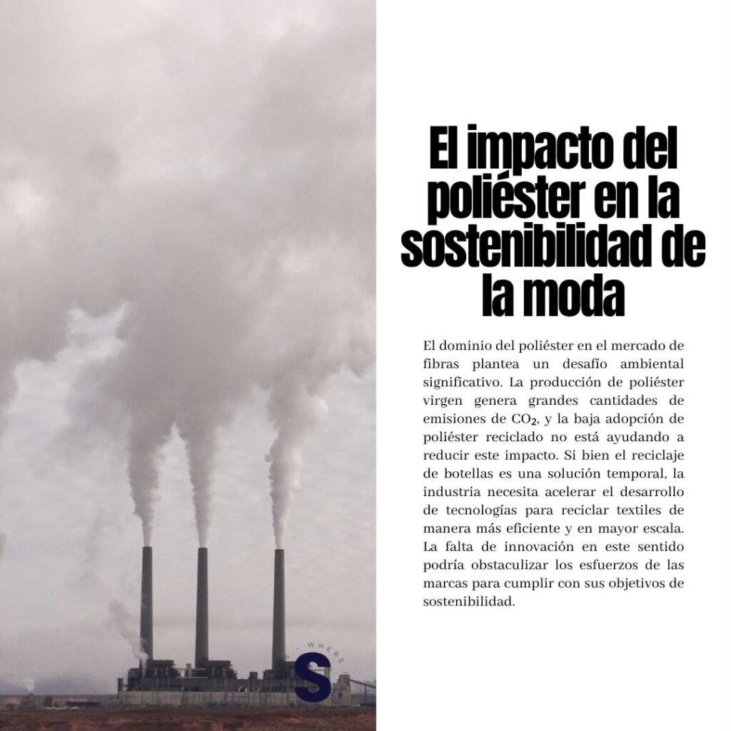 El auge del poliéster - The rise of polyester