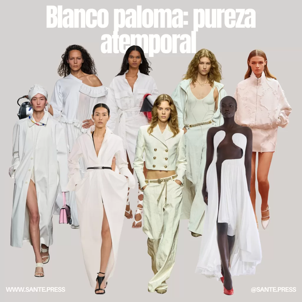 Paloma blanca pura en un entorno elevado, simbolizando paz y pureza en la ciudad de Parma