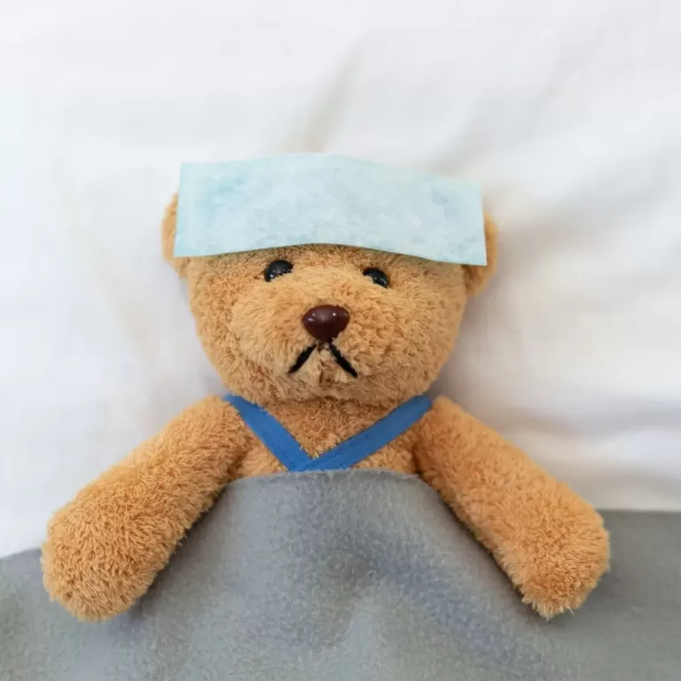 Oso de peluche con banda fría en la frente