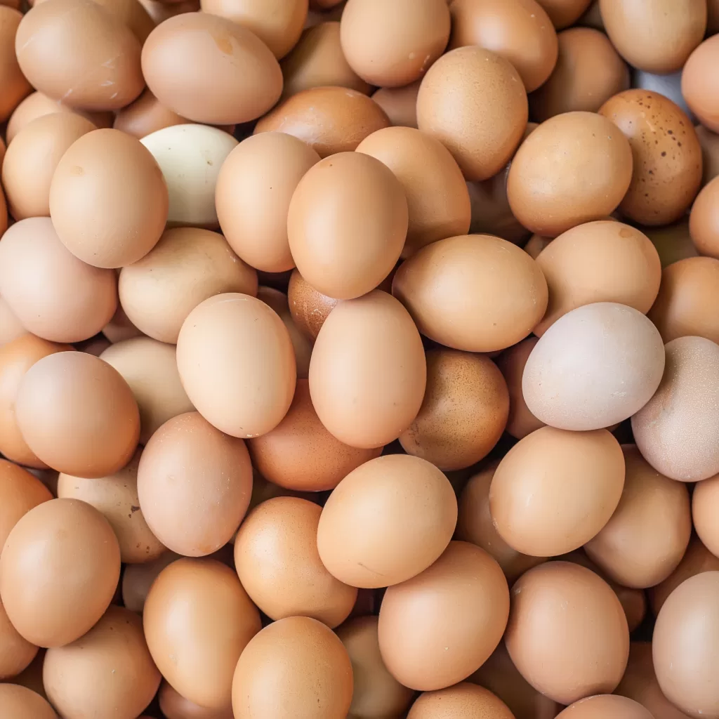 Brote de Salmonella en huevos recall masivo y qué hacer IC