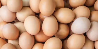 Brote de Salmonella en huevos recall masivo y qué hacer IC
