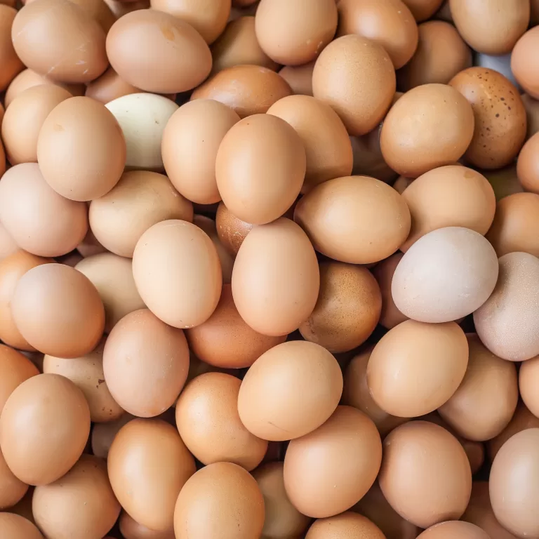 Brote de Salmonella en huevos recall masivo y que hacer IC