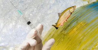 Inyecciones de esperma de salmón y belleza regenerativa IC