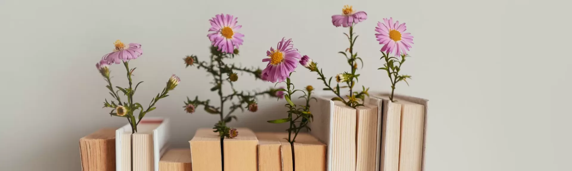 Libros más esperados de 2026 leer como refugio emocional