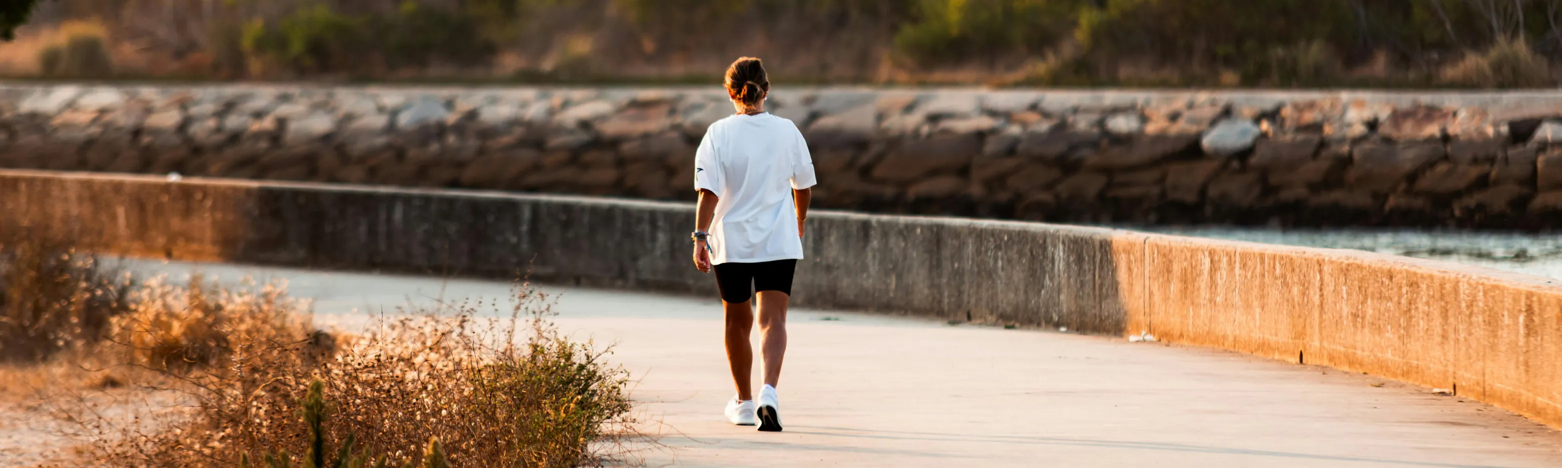 transformacion-neurobiologica-humana