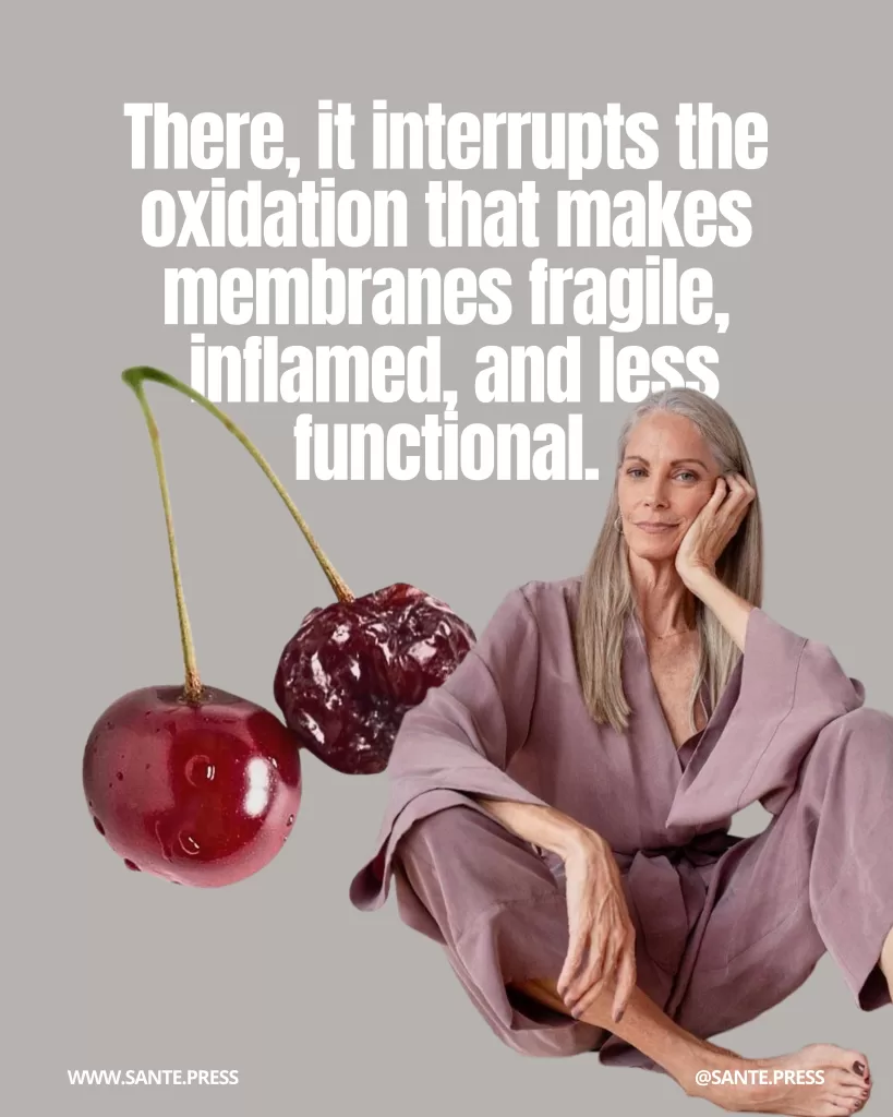 vitamin-e-longevity-guide 4