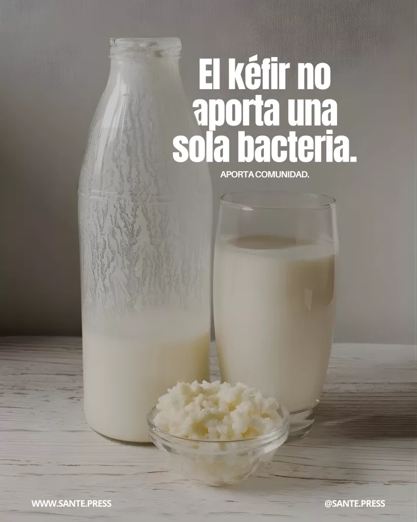 Botella y vaso de kéfir junto a un pequeño bowl con granos de kéfir. Texto: “El kéfir no aporta una sola bacteria. Aporta comunidad.”