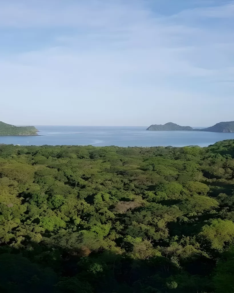 El bosque de Playa Panamá y la batalla legal que pone en jaque el modelo turístico de Guanacaste