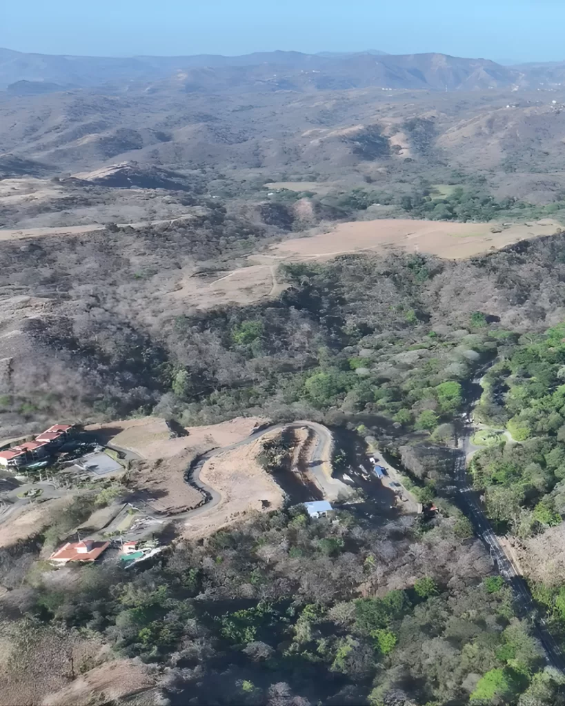 El bosque de Playa Panamá y la batalla legal que pone en jaque el modelo turístico de Guanacaste