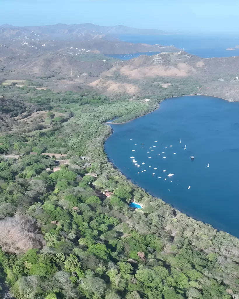 El bosque de Playa Panamá y la batalla legal que pone en jaque el modelo turístico de Guanacaste