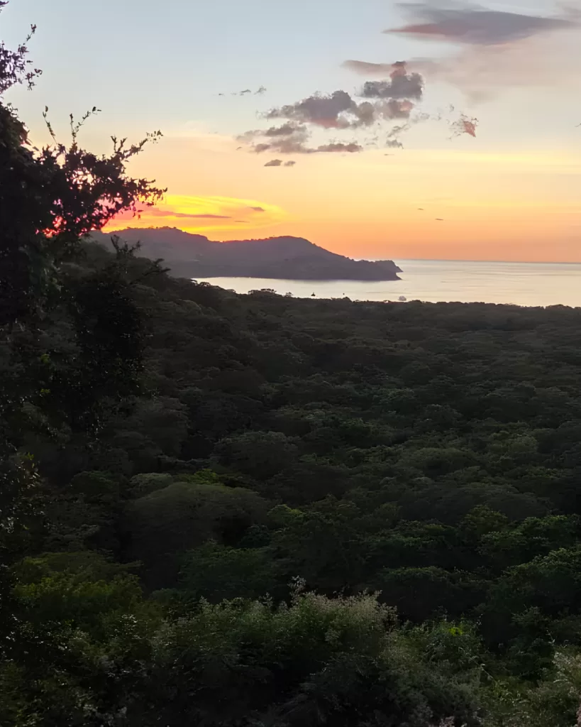 El bosque de Playa Panamá y la batalla legal que pone en jaque el modelo turístico de Guanacaste