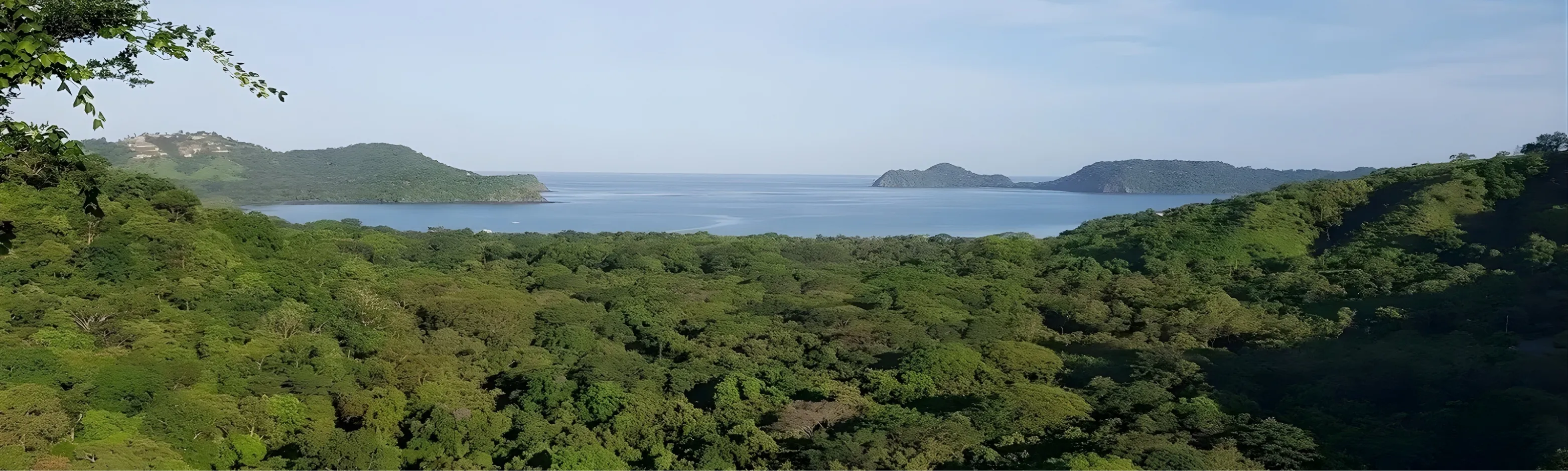 El bosque de Playa Panamá y la batalla legal que pone en jaque el modelo turístico de Guanacaste IP