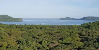 El bosque de Playa Panamá enfrenta una crisis sin precedentes: una tala autorizada, un recurso de amparo y una moratoria histórica que pone a prueba la tutela ambiental en Costa Rica.