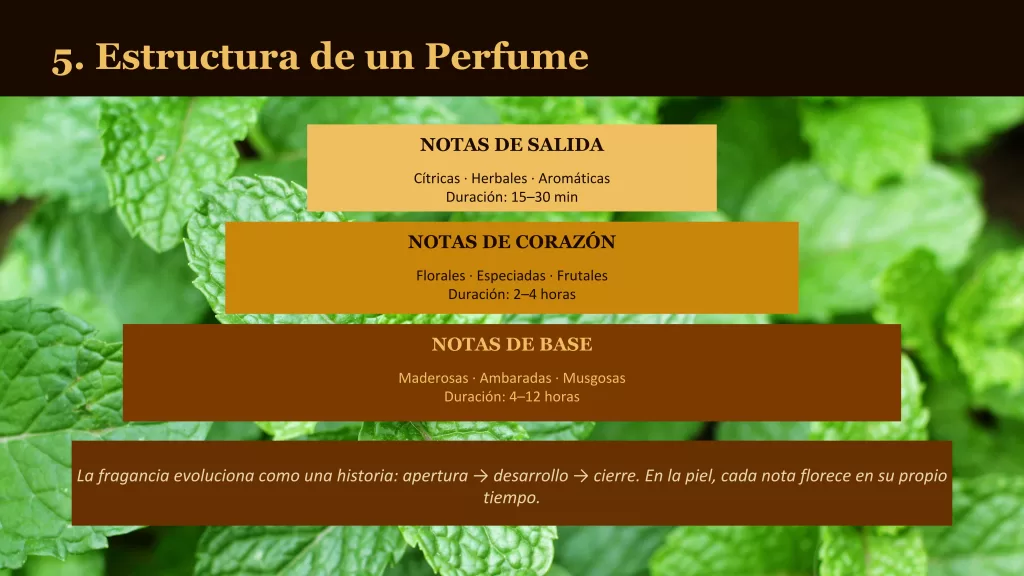 Attars perfumes en aceite: historia, composición y el arte de la fragancia natural 7