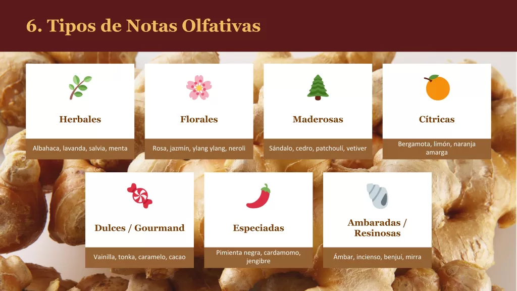 Attars perfumes en aceite: historia, composición y el arte de la fragancia natural 8