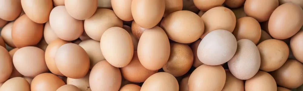 Brote de Salmonella en huevos recall masivo y qué hacer