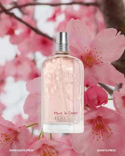 A floral and fruity fragrance evoking cherry blossom hills in southern France, featuring notes of freesia, cherry, and lily. - Fragancia floral y afrutada que evoca colinas de cerezos en Francia, con notas de fresia, cereza y lirio, base de ámbar.