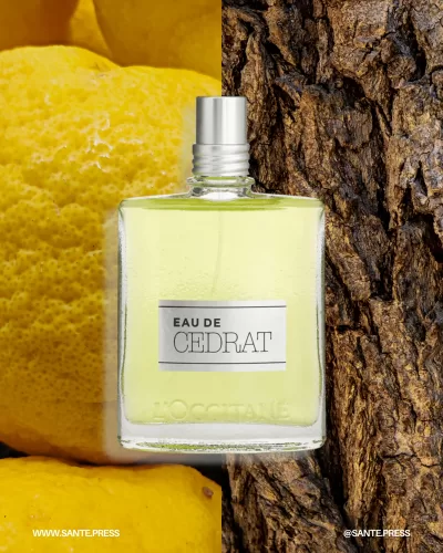 Fragancia fresca y especiada inspirada en cedrat, ideal para hombres activos con un estilo de vida enérgico y moderno. - A vibrant fragrance inspired by cedrat, blending fresh, spicy notes with a woody base for an energetic, modern man.