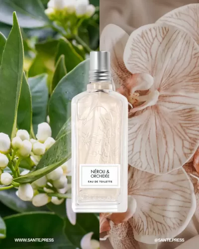A luxurious perfume blending Mediterranean neroli and Madagascar white orchid, with lasting fruity notes of orange and peach. - Perfume que fusiona neroli mediterráneo y orquídea blanca, con notas de naranja y melocotón para un aroma elegante y duradero.