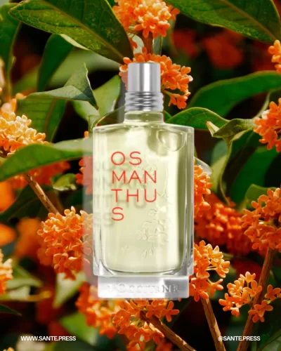 Fragancia floral y frutal con notas de albaricoque y madera cremosa, destacando la flor de Osmanthus de Guilin, China. - A floral, fruity, and woody fragrance featuring green freshness with notes of apricot and creamy wood, highlighted by Osmanthus.
