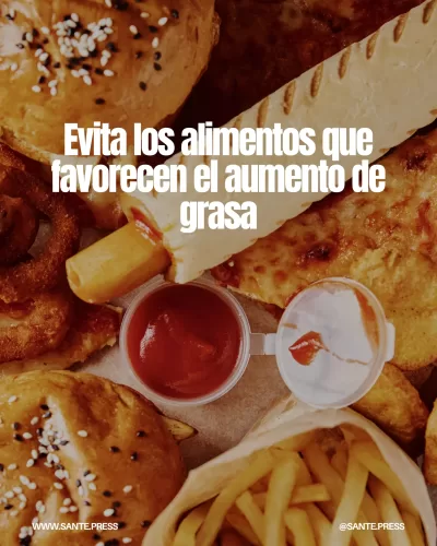 Alimentos como el alcohol y ultraprocesados contribuyen a la grasa corporal; elige frutas, verduras y proteínas magras.