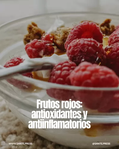 Frutos rojos como arándanos, moras y frambuesas, ricos en antioxidantes y fibra, que ayudan a reducir la inflamación.