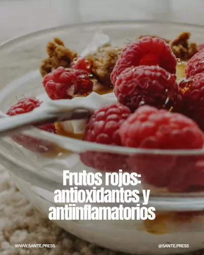 Frutos rojos como arándanos, moras y frambuesas, ricos en antioxidantes y fibra, que ayudan a reducir la inflamación.
