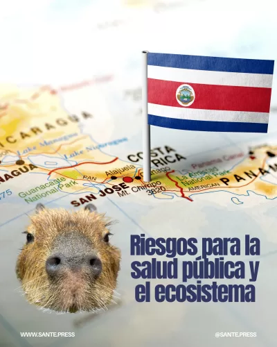 Bandera de Costa Rica sobre un mapa y un carpincho, aludiendo a los riesgos sanitarios y ecológicos.