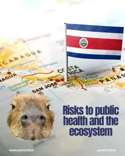 Costa Rica flag on a map with a capybara face, warning about ecosystem and public health risks.