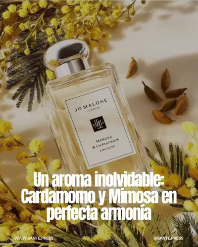 Perfume Mimosa & Cardamom de Jo Malone: mezcla de cardamomo, mimosa dorada y tonka, creando un aroma floral y gourmand.